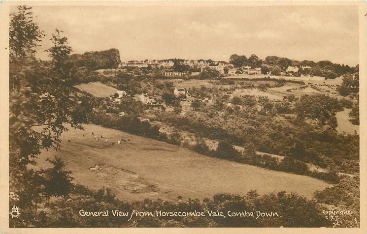 General view from Horsecombe Vale 1950 (With thanks to Tuck DB postcards https://tuckdb.org/)