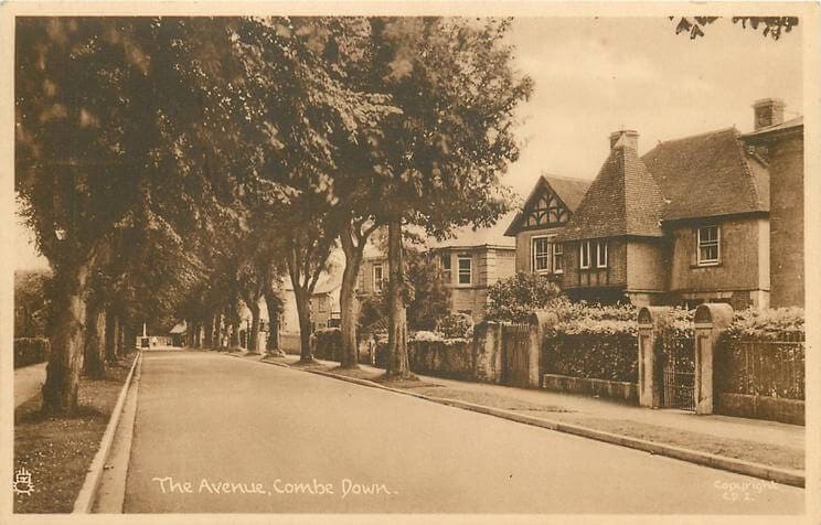 The Avenue 1950 (With thanks to Tuck DB postcards https://tuckdb.org/)