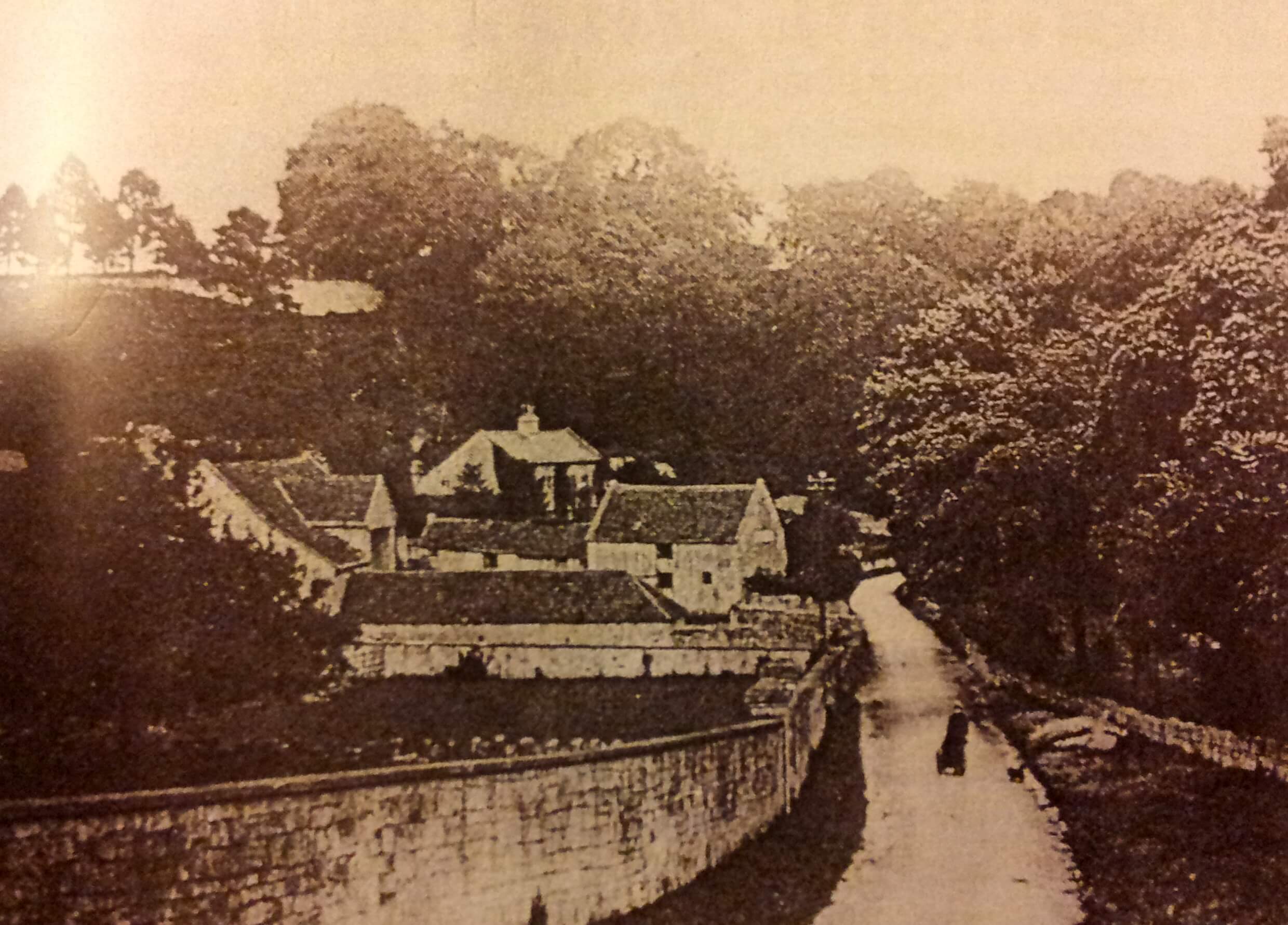 Summer Lane early 1900s