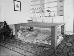 A couple sleeping in a Morrison shelter during the Second World War