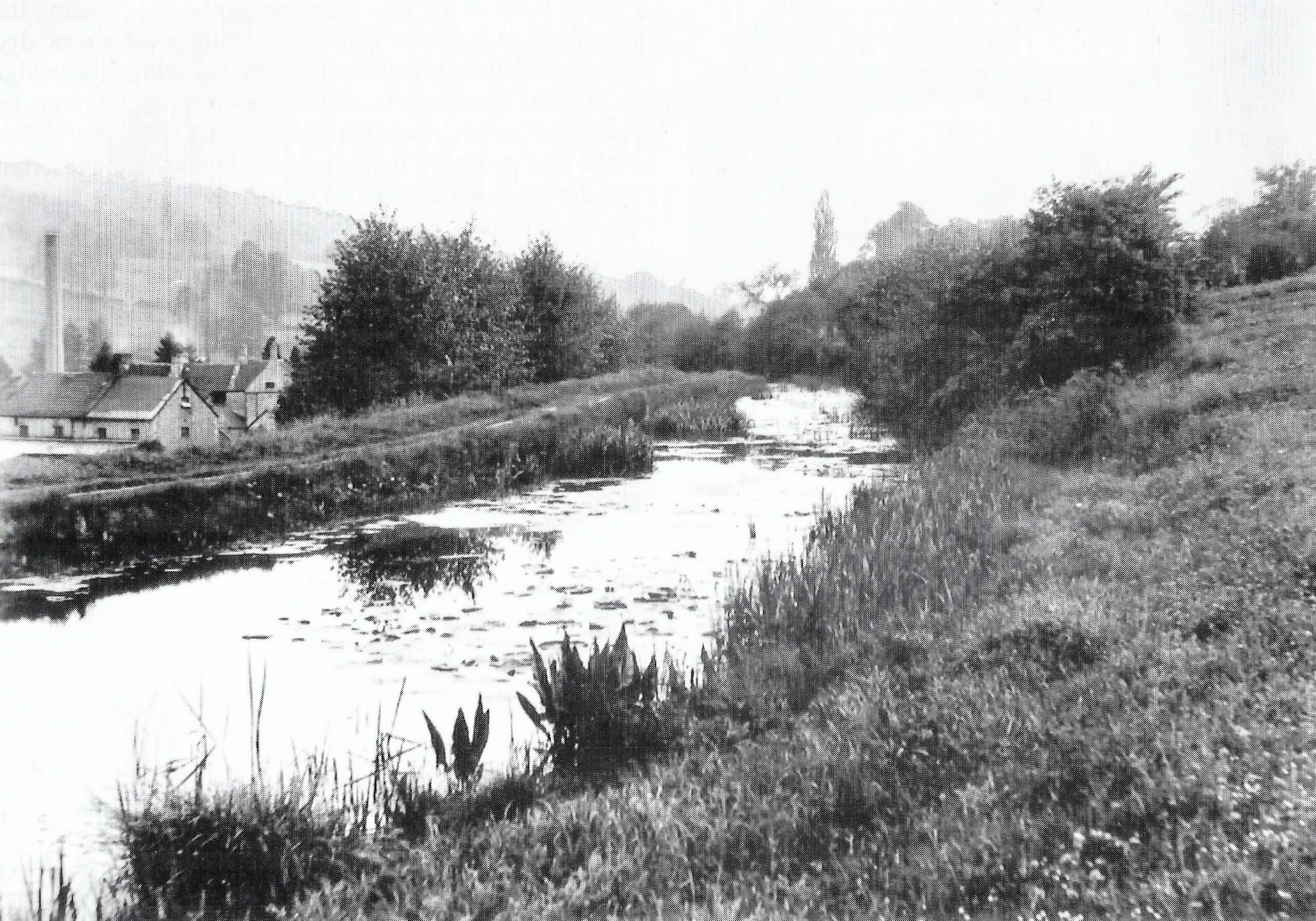 canal-by-freeman-mill-monkton-combe-about-1905