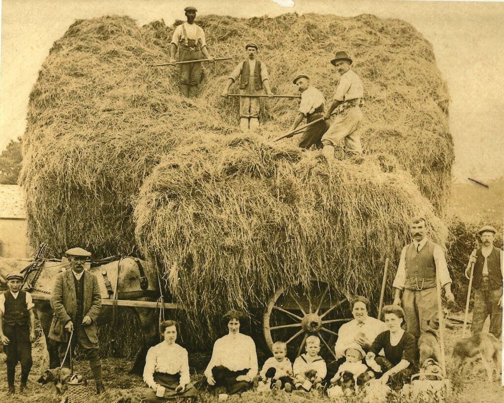 Harvesting in Devon