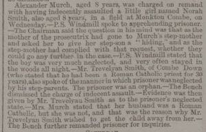 Indecent assault, Trevelyan Smith witness - Bath Chronicle and Weekly Gazette - Thursday 19 August 1880