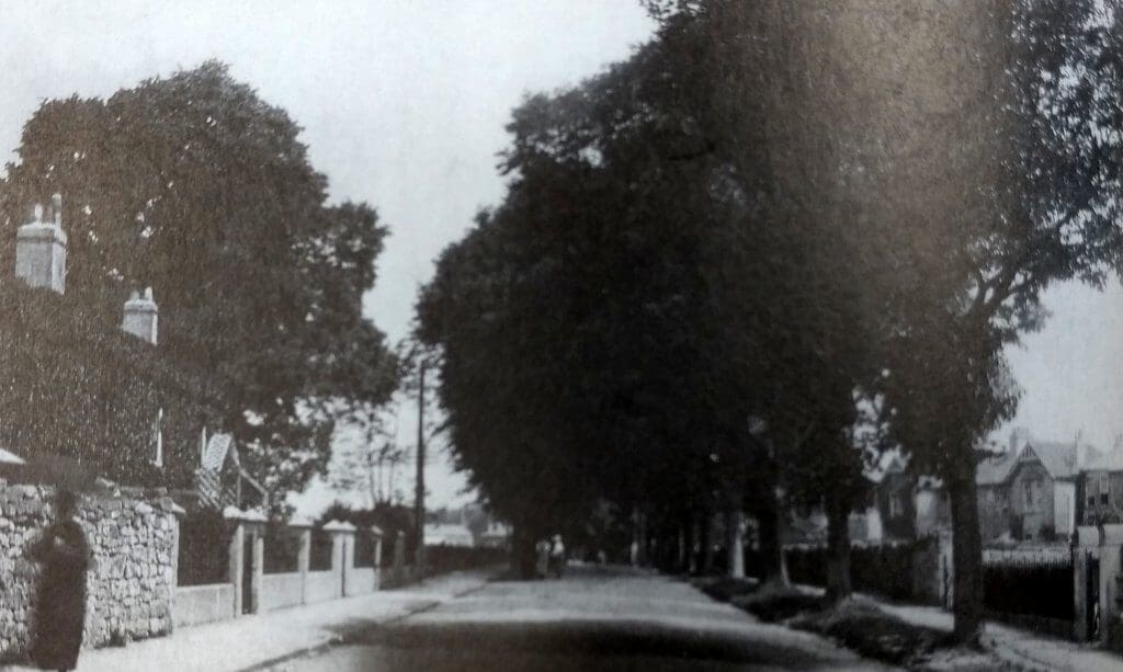 The Avenue, Combe Down about 1920
