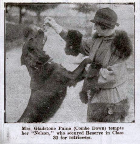 Mrs Gladstone Paine, Bath dog show - Bath Chronicle and Weekly Gazette - Saturday 23 May 1925