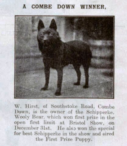 A Combe Down winner - Bath Chronicle and Weekly Gazette - Saturday 10 January 1920