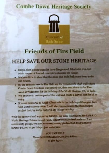 Help Save Our Stone Heritage appeal leaflet