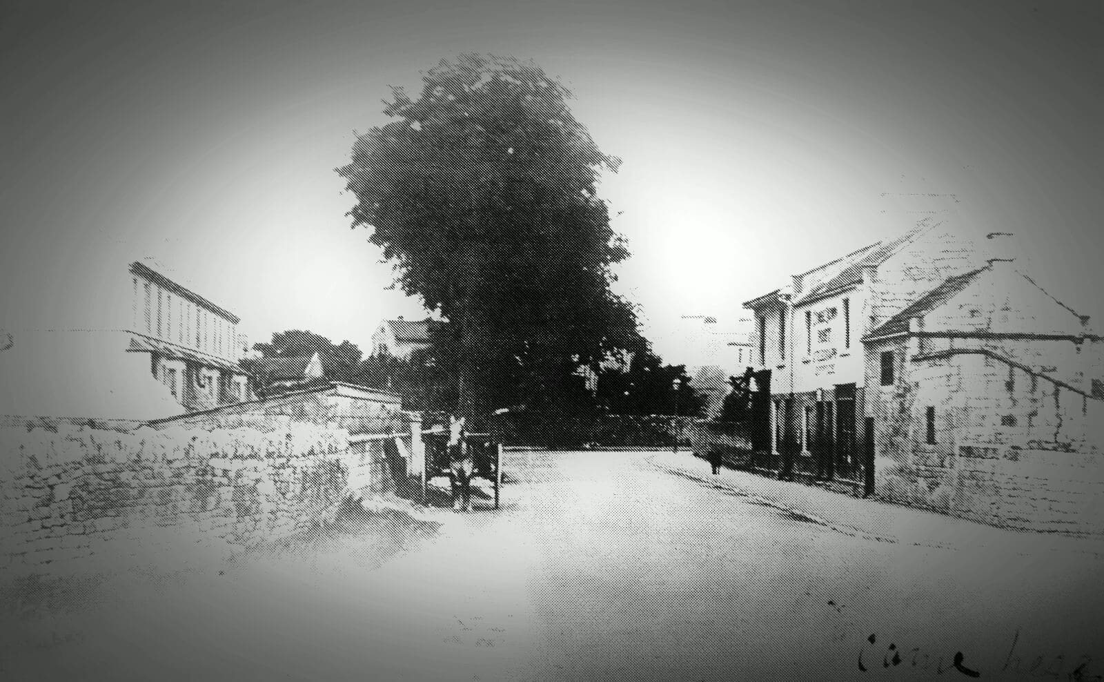 Combe Down Post Office early 1900s