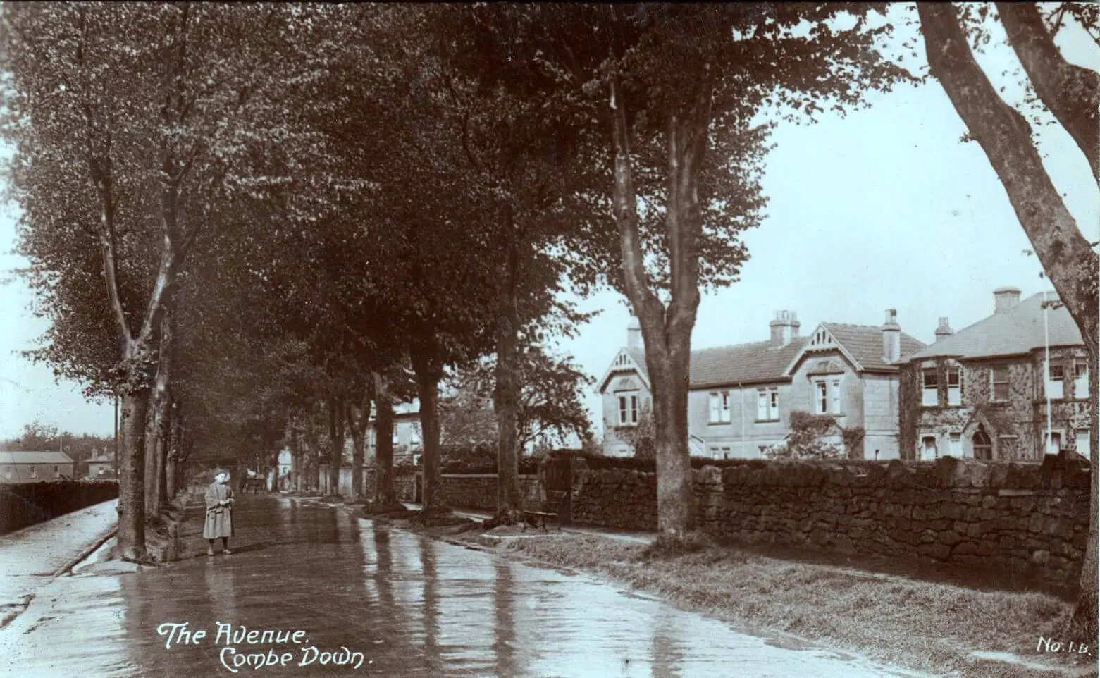 the avenue combe down 1915