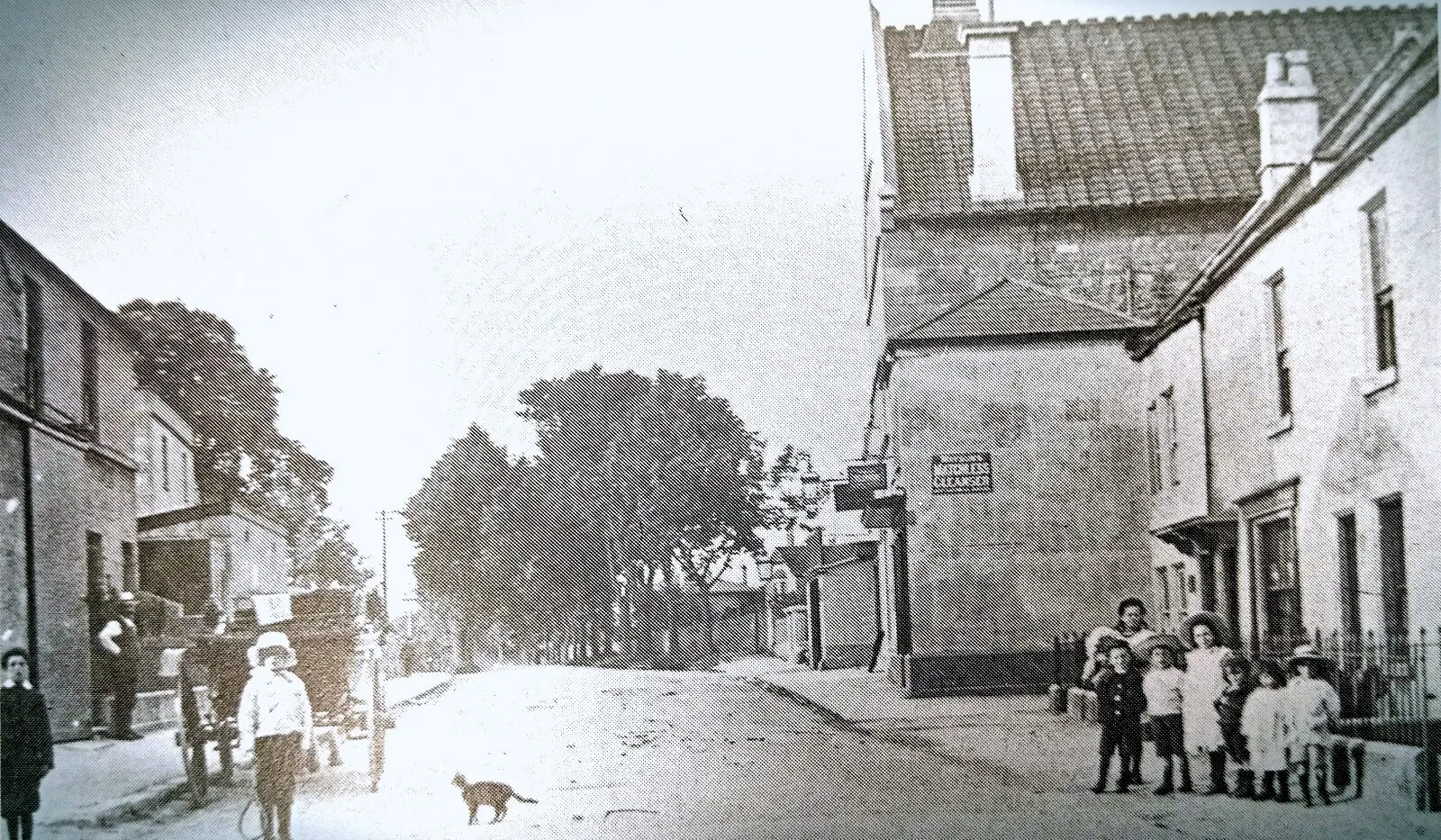 the avenue combe down early 1900s