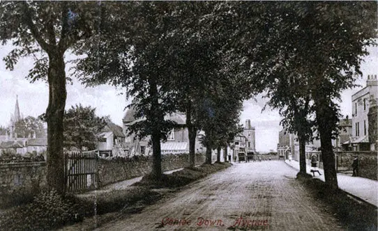 the avenue combe down in 1905
