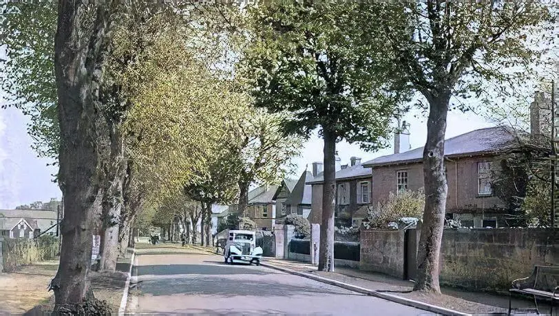 the avenue combe down 1950s