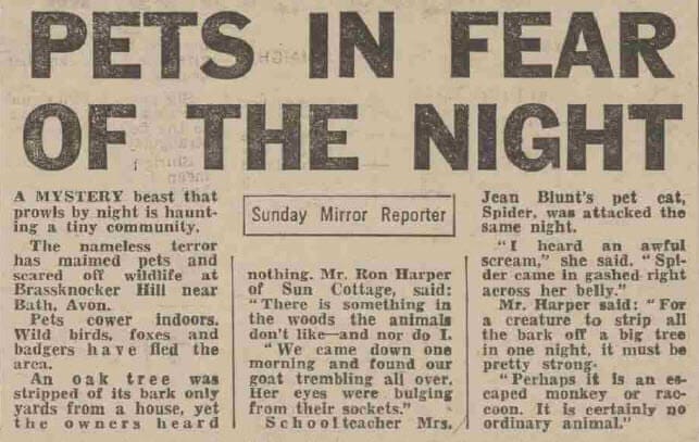 Sunday Mirror - Sunday 29 July 1979