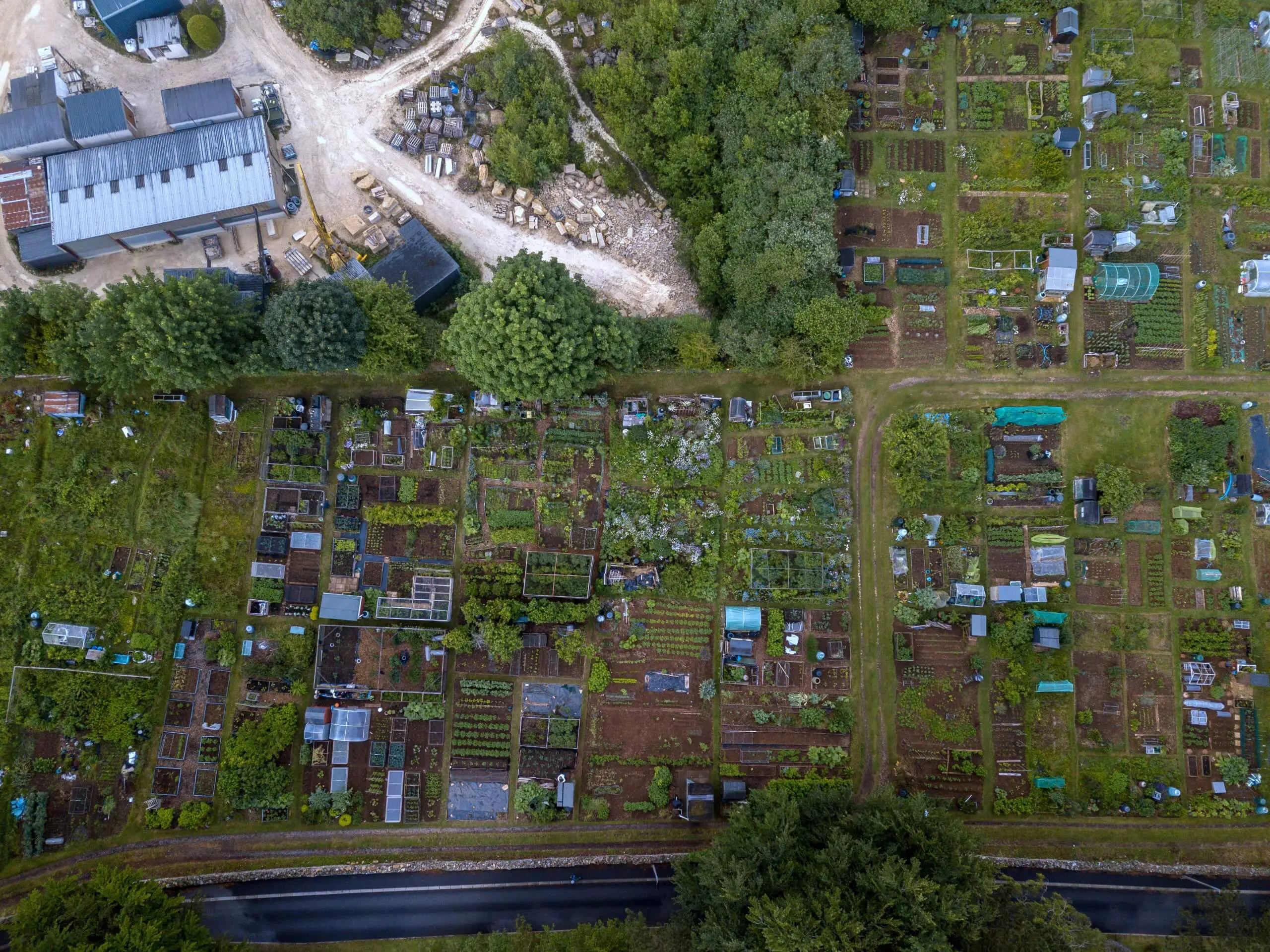 combe down allotments 2019