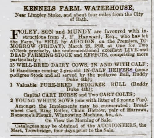 J F Hayward, Kennels Farm, Waterhouse, Bath Chronicle and Weekly Gazette - Thursday 27 Mar 1890